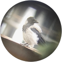 Вова К. profile picture